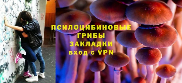 прущая мука Дмитров