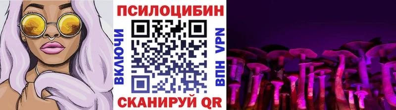 Псилоцибиновые грибы прущие грибы  Купить  Соль-Илецк 