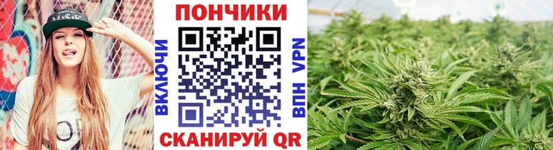 Купить  Соль-Илецк  МАРИХУАНА тримм 